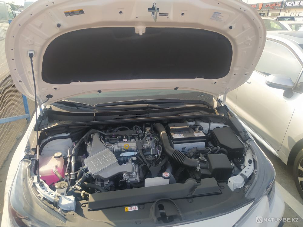    года Астана - изображение 9