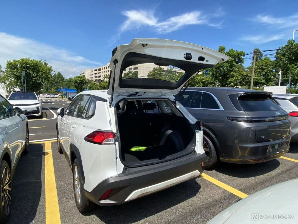    year Astana - photo 2