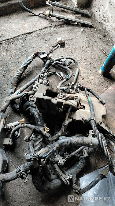    жыл  Астана - изображение 7