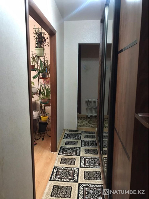   - изображение 6