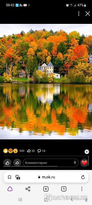   - изображение 1