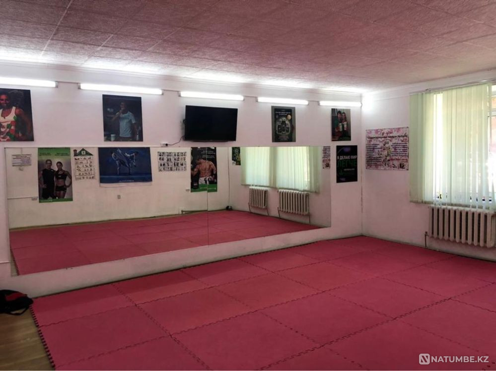   - изображение 1