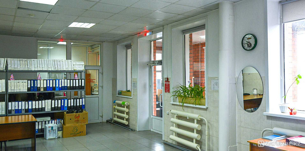   - изображение 4