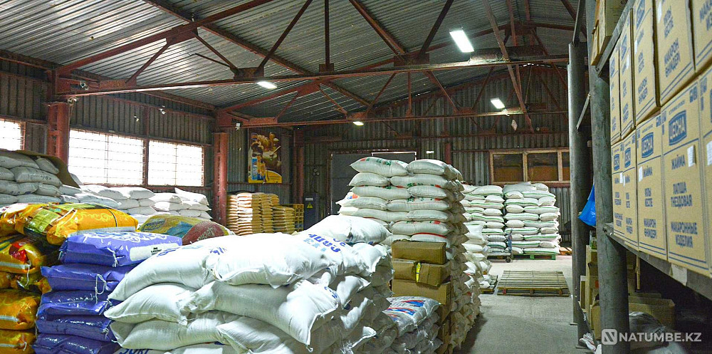   - изображение 8