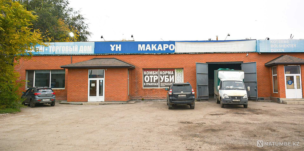   - изображение 1