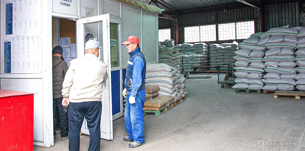   - изображение 6