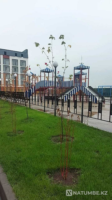   - изображение 2