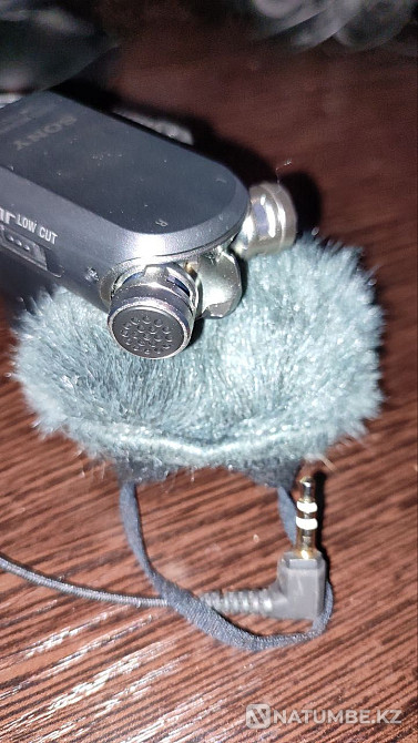 Microphone Sony ECM-XYST1M Almaty - photo 1
