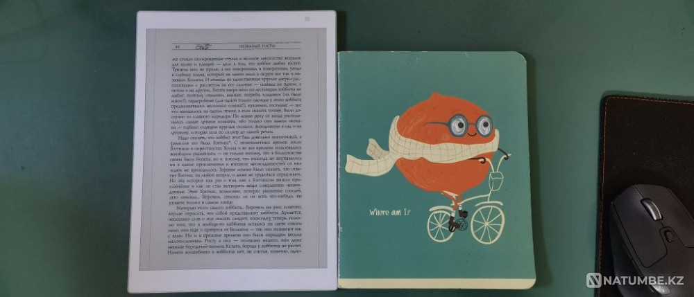 SONY DPT-CP1 e-book 10.5 Almaty - photo 4