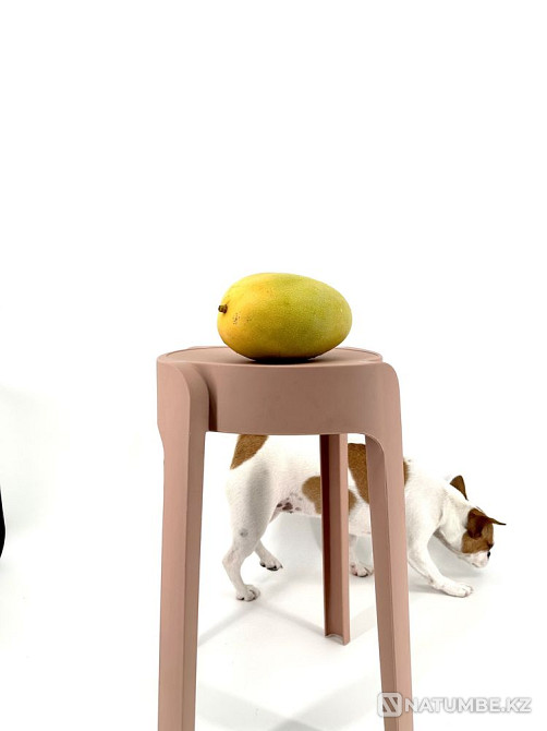 PHOTO BOX 160 *120 for subject photography! Almaty - photo 2