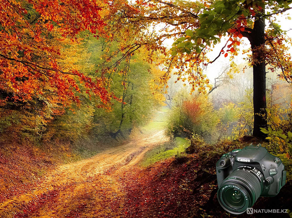 Продам фотоаппарат CANON 600D Алматы - изображение 1
