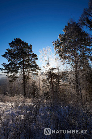 Nikon d750 + Tamron 17-35mm f/2.8-4 A037 and SP 85mm F/1.8 F016 Almaty - photo 7