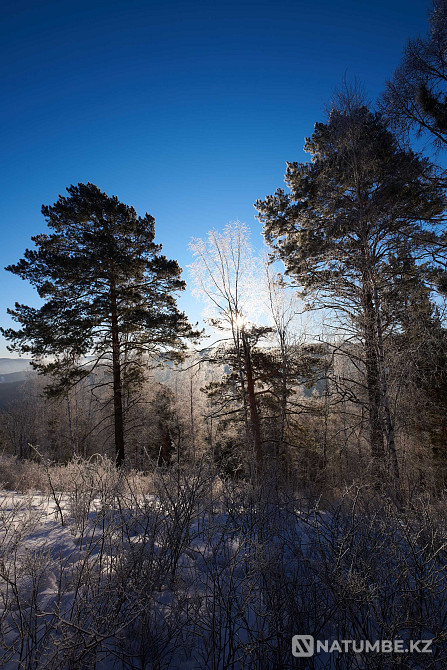 Nikon d750 + Tamron 17-35 мм f/2,8-4 A037 және SP 85 мм F/1,8 F016  Алматы - изображение 7