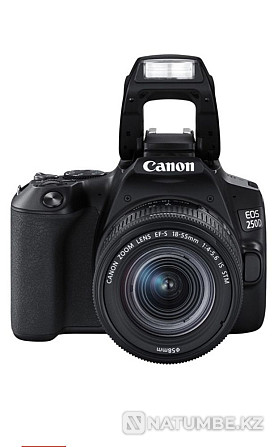 Canon EOS 250 D EF-S 18-55 Kit Алматы - изображение 2