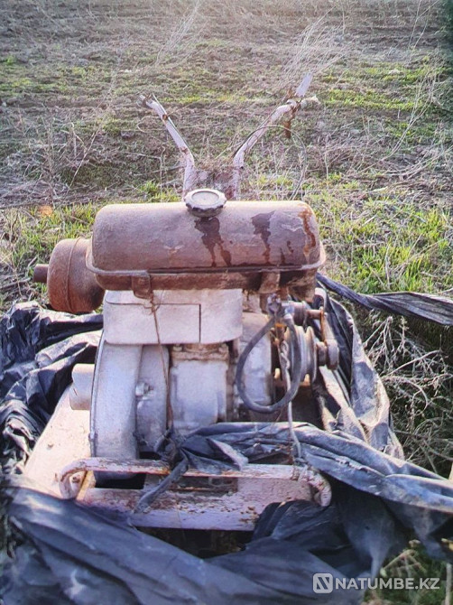 Panasonic video camera. cutter potato peeling. smokehouse; generator  - photo 7