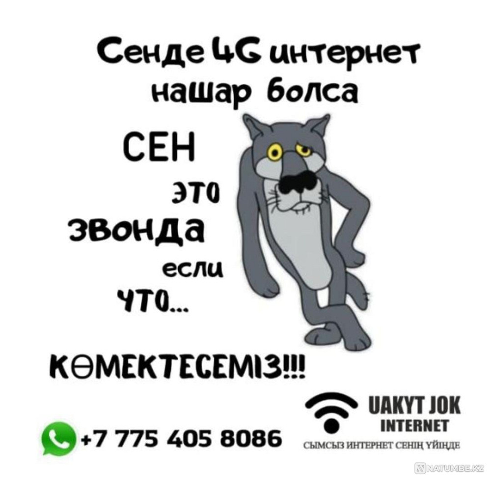 Internet Camera Television  - photo 7