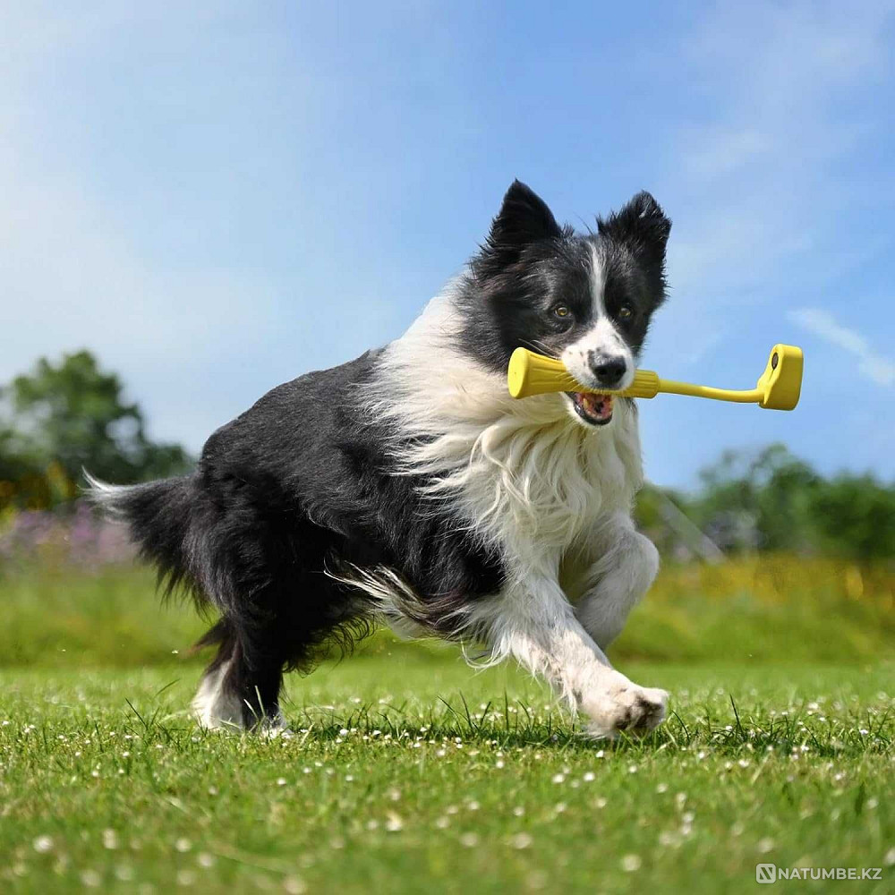 Insta360 GO 3 Fetch Stick  - photo 5