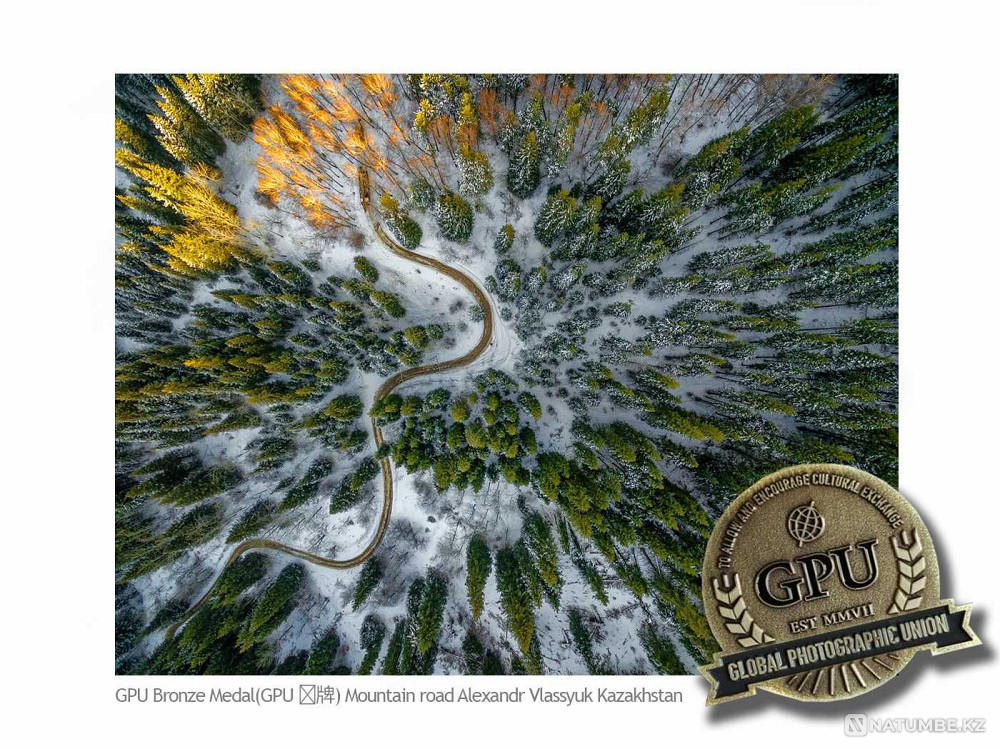 DJI Phantom 4 Pro Obsidian  - photo 5