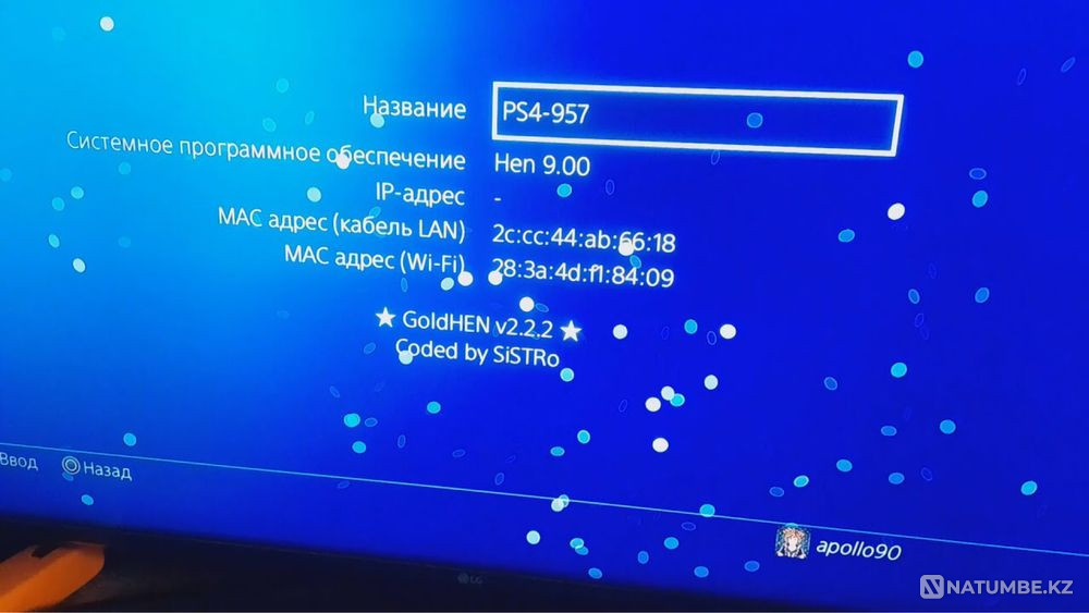 Установка игр на прошитые PS4 Goldhen 9.00 без аккаунтов  - изображение 7