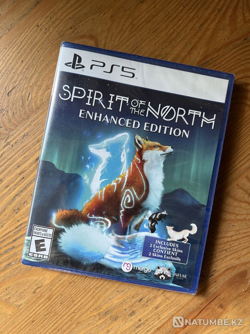 Spirith of the north - PS5  - изображение 1