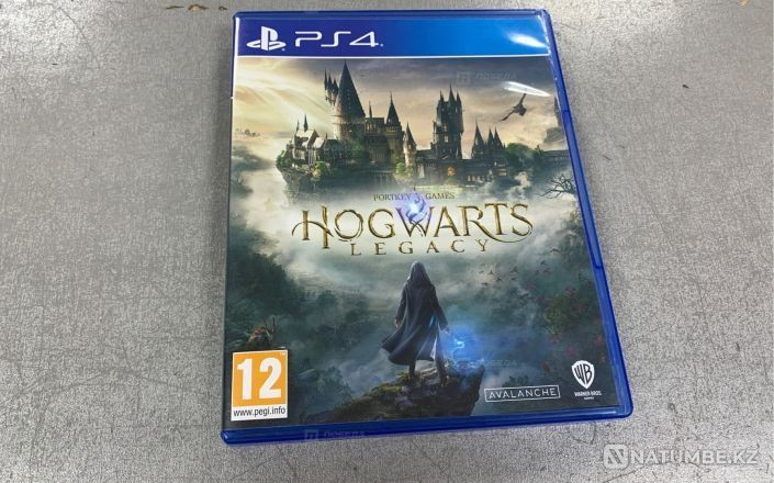 Игра Hogwarts Legacy Ps4 Купить В Павлодаре