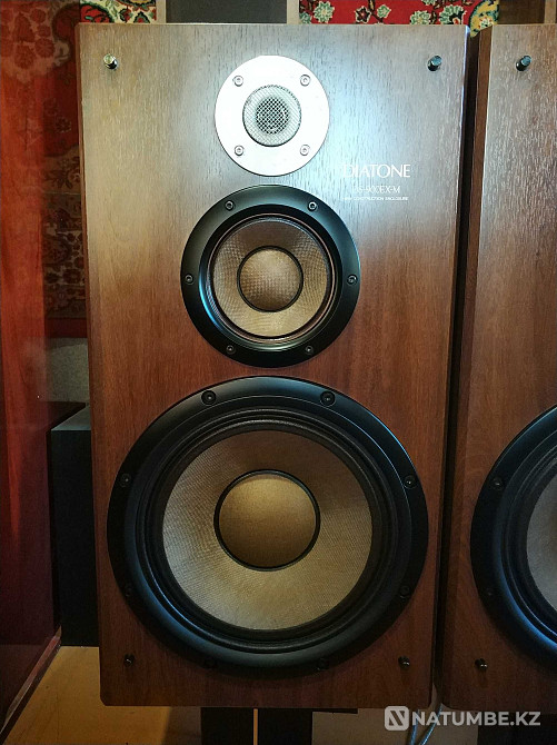 Акустические системы Diatone DS-900 EX-M Алматы - изображение 3