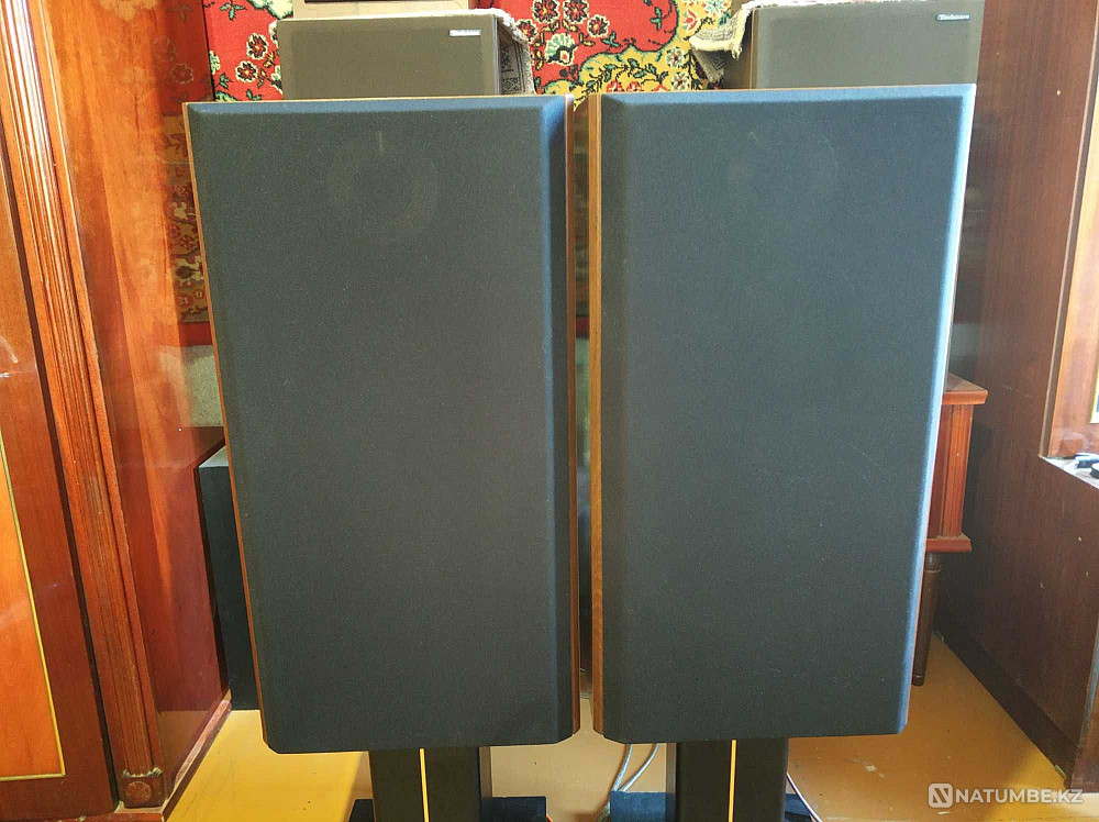Акустические системы Diatone DS-900 EX-M Алматы - изображение 1