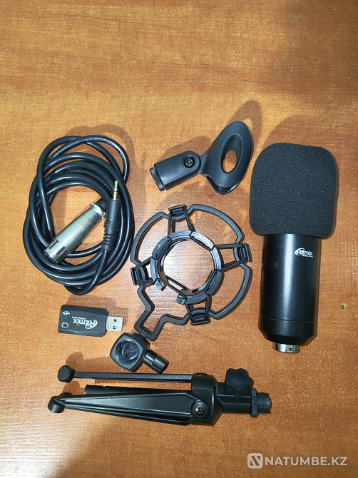Ritmix RDM-160 микрофоны сатылады  Алматы - изображение 1