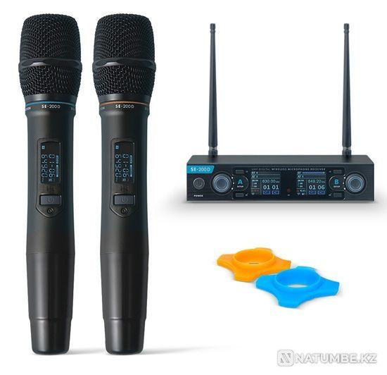 Микрофон Studio Evolution SE 200D Алматы - изображение 2