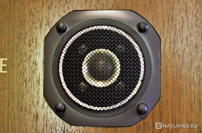 Diatone DS-77Z Speaker systems Almaty - photo 4