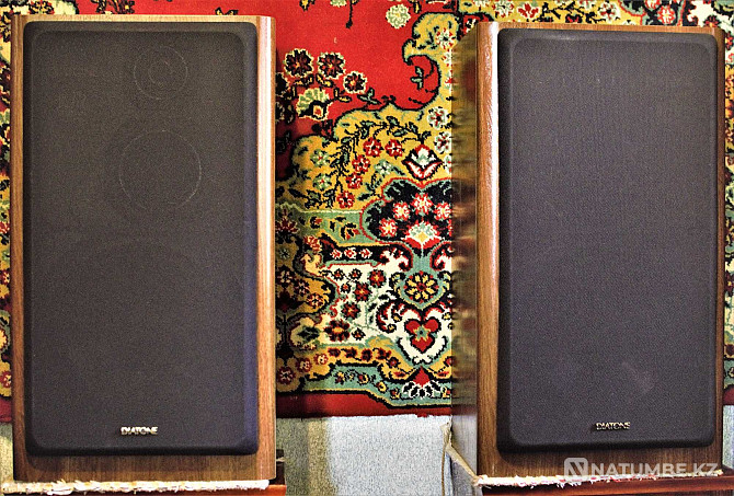 Diatone DS-77Z Speaker systems Almaty - photo 8