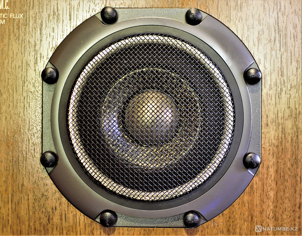 Diatone DS-77Z Speaker systems Almaty - photo 5
