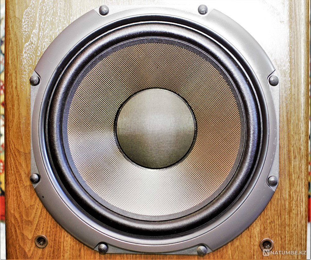 Diatone DS-77Z Speaker systems Almaty - photo 6