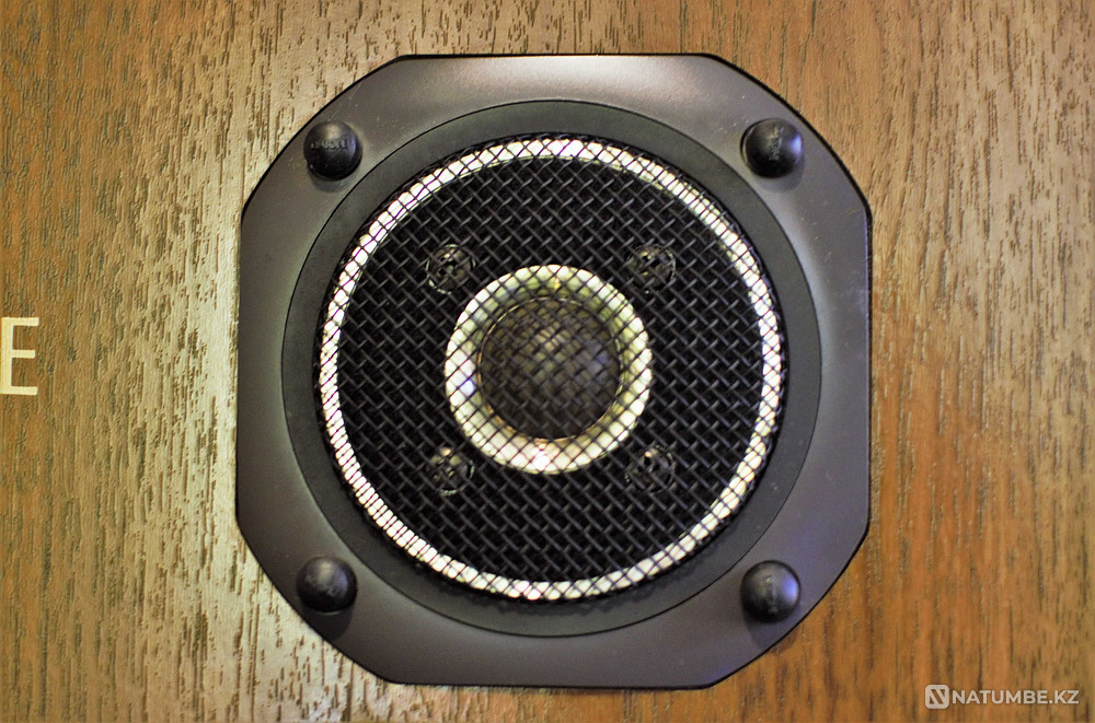 Diatone DS-77Z Speaker systems Almaty - photo 4