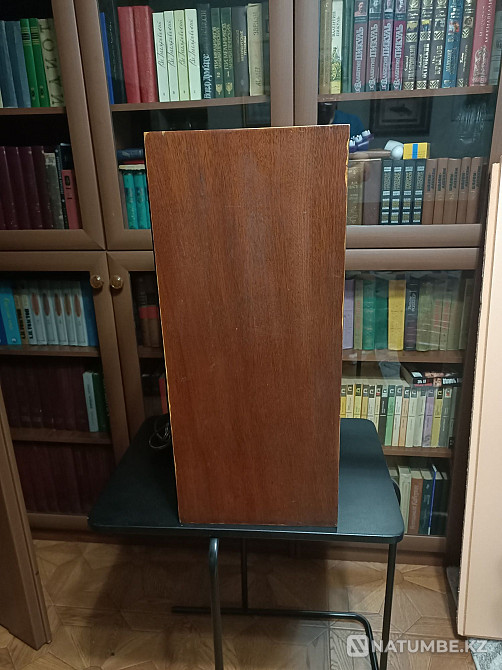 Акустика «Виктория-001»  Алматы - изображение 2