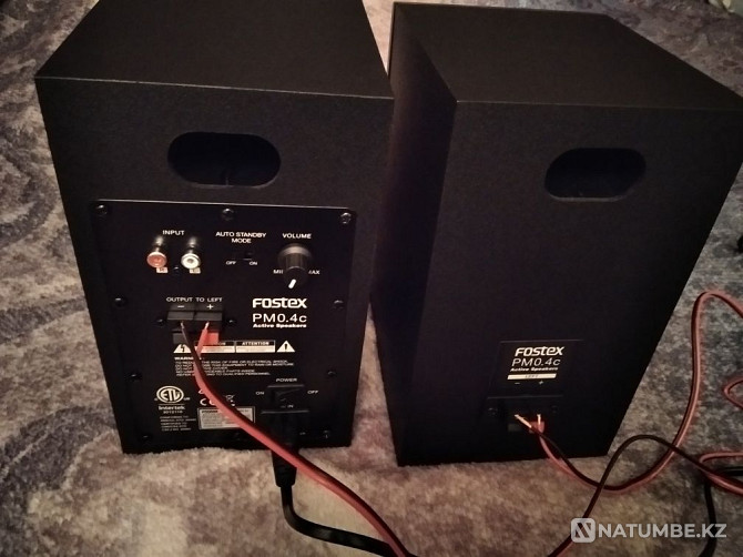 Active speakers Fostex PM0.4c Almaty - photo 2
