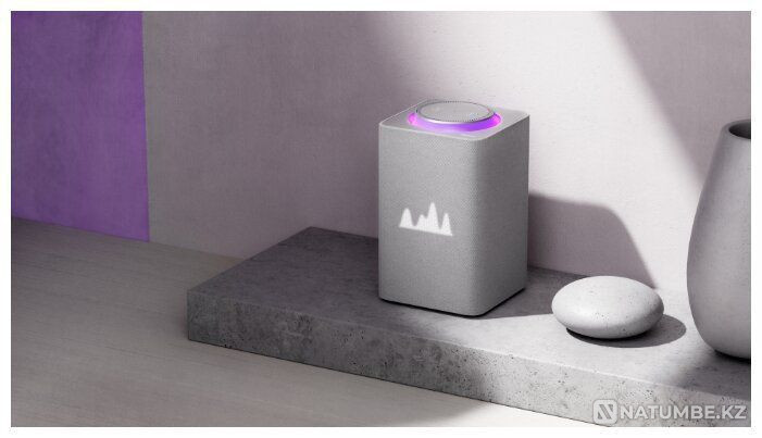 Алиса Яндекс Макс  Алматы - изображение 1