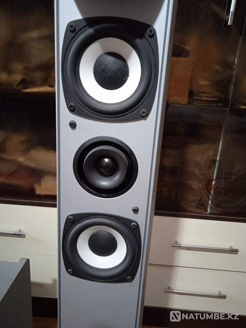 Subwoofer Cabasse TSA 250 Almaty - photo 2