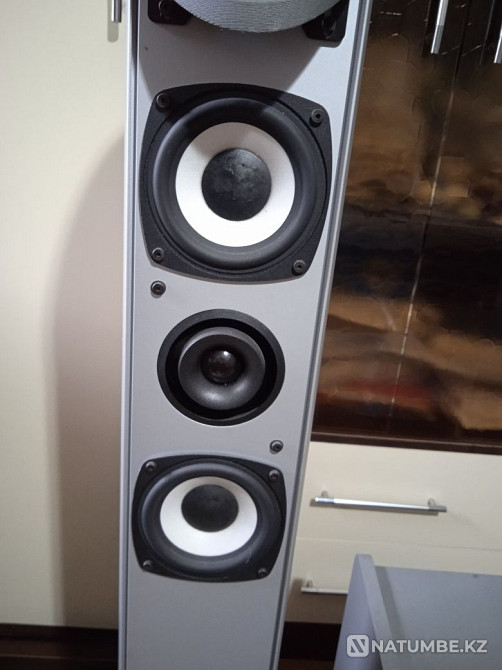 Subwoofer Cabasse TSA 250 Almaty - photo 3