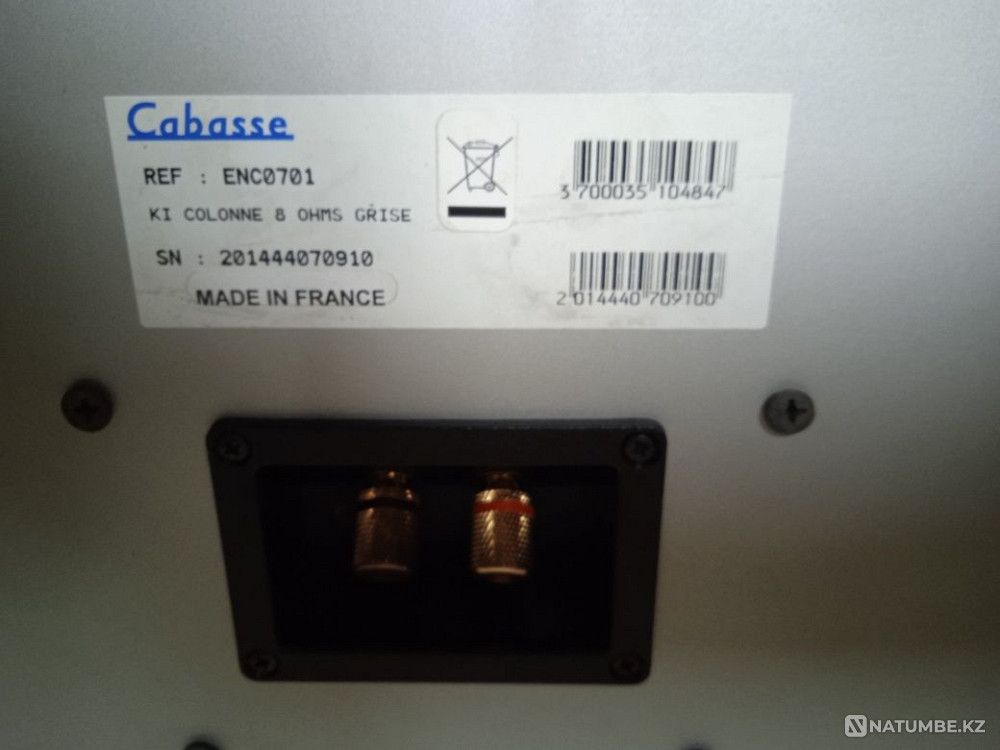 Subwoofer Cabasse TSA 250 Almaty - photo 6