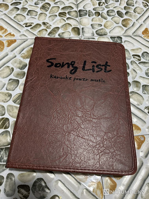 KPM 100 karaoke with 2 microphones Almaty - photo 3