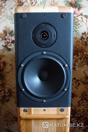 ProAC / Scan Speak / Monacor (pair of speakers; acoustics) Almaty - photo 3