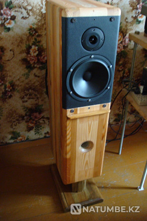 ProAC / Scan Speak / Monacor (pair of speakers; acoustics) Almaty - photo 1