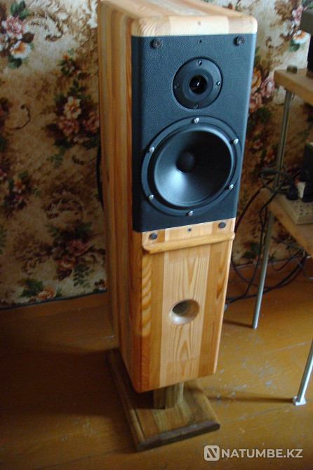 ProAC / Scan Speak / Monacor ( пара колонок; акустика ) Алматы - изображение 1