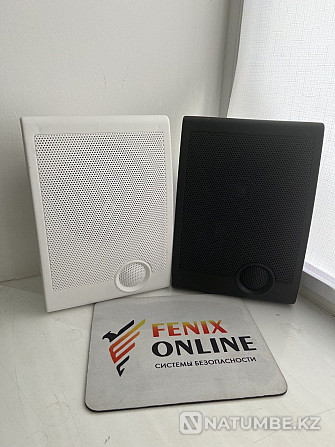 Wall and Ceiling Speakers; Amplifier; Microphone for BACKGROUND music Almaty - photo 2