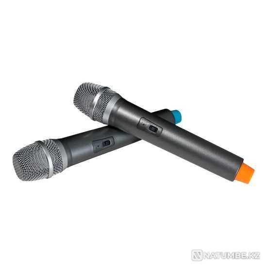 Набор Микрофонов Sound Wave SW22 Алматы - изображение 1