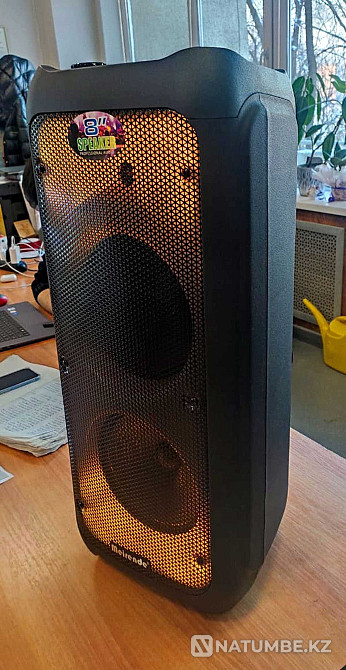 SPEAKER WITH MICROPHONE. Light music. Calonka. Columns. Speakers. Almaty - photo 1