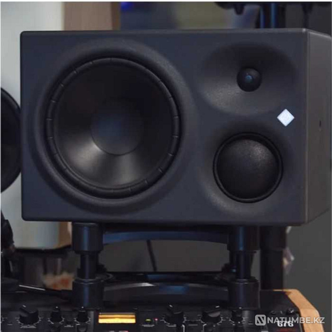 Neumann KH-310 профессиональный трехполосные студийный мониторы (пара) Алматы - изображение 3