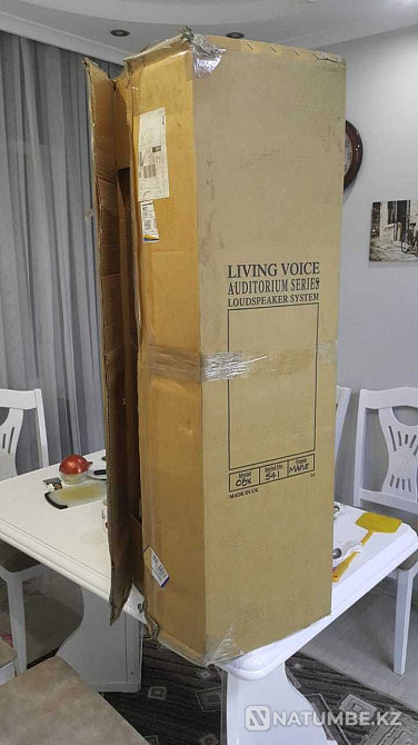 Еденде тұратын динамиктері LIVING VOICE OBX-RW4  Алматы - изображение 8