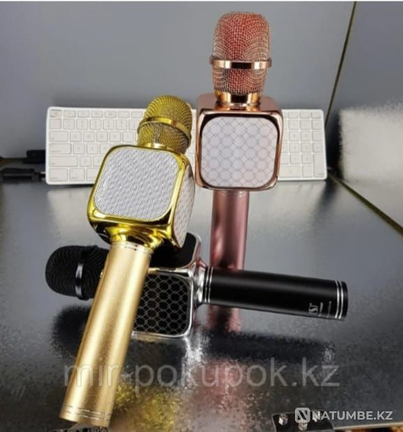 Karaoke microphone YS-69 and YS-63. Microphone. Wireless microphone. Almaty - photo 3